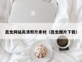 格尔木昆虫网站高清照片素材（昆虫图片下载）